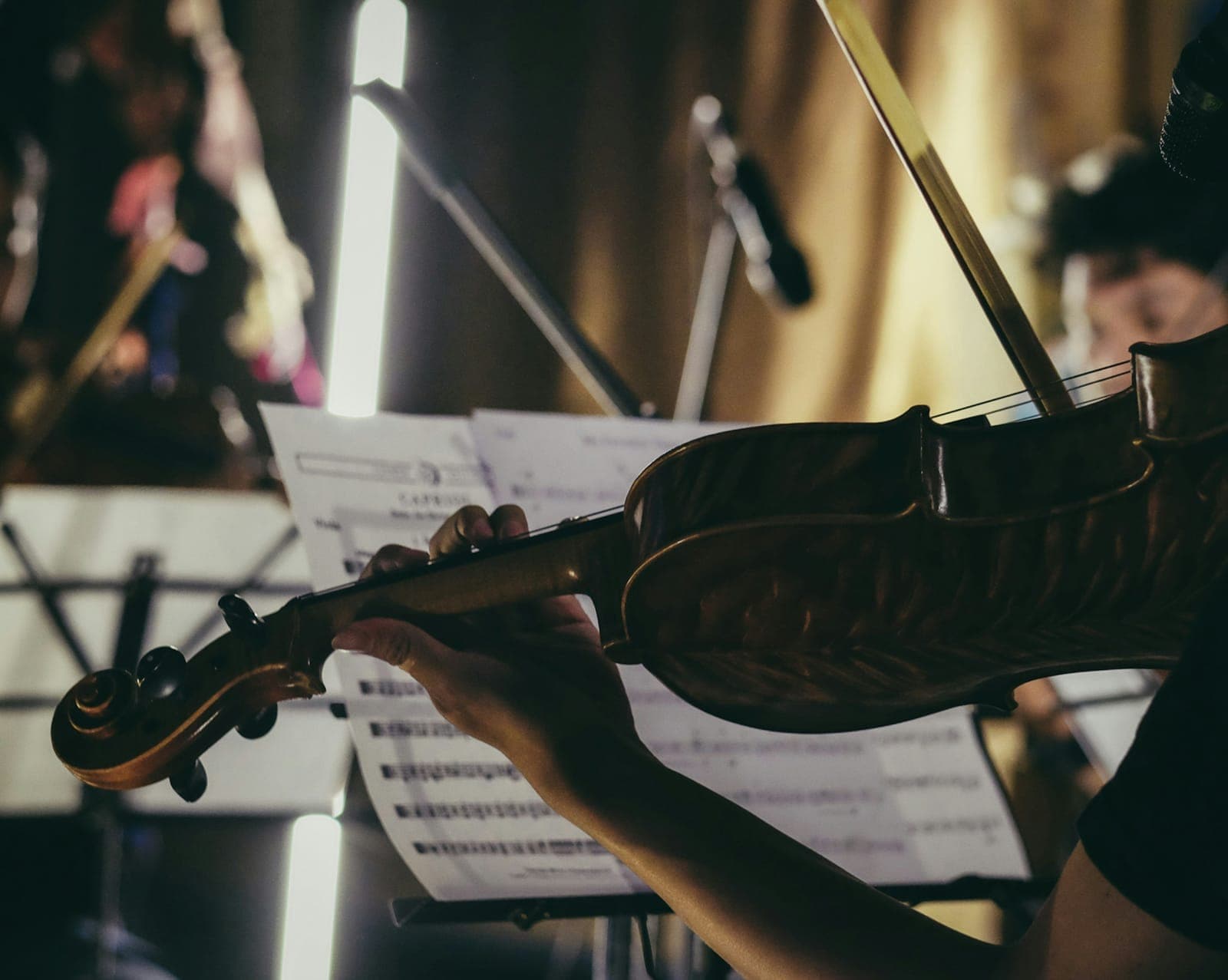 Accompanied Viola