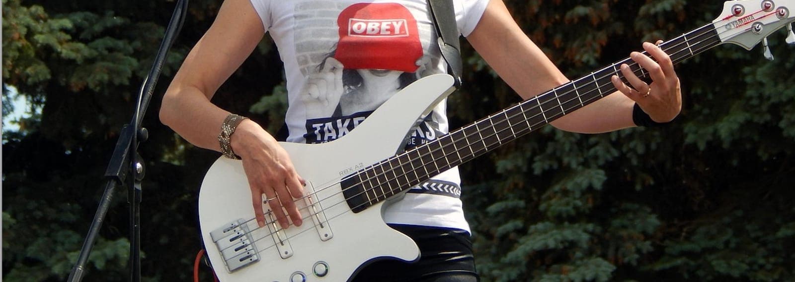 Bass Guitar