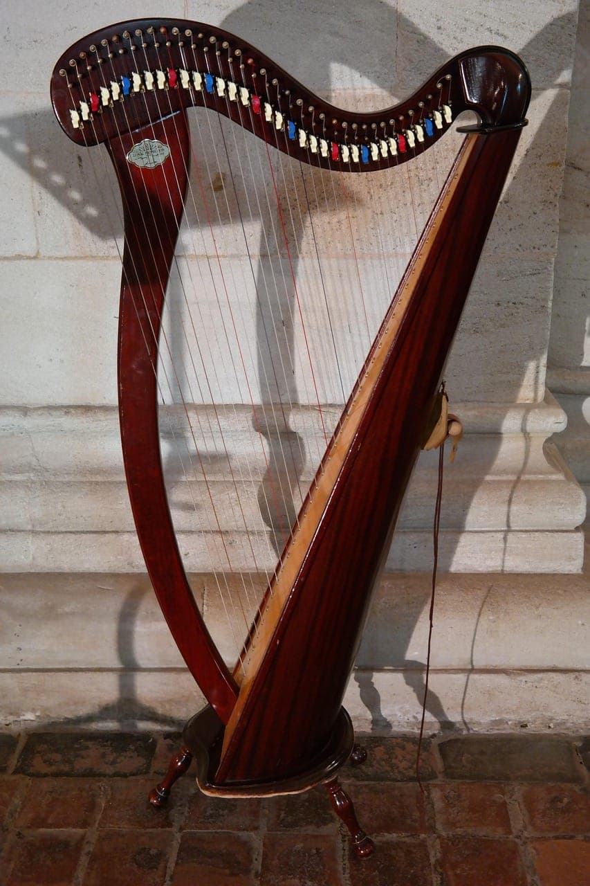 Harp