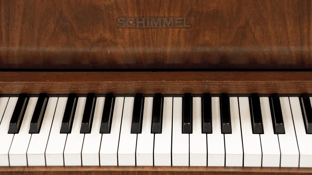 Notes on the Keyboard (Just White Notes)