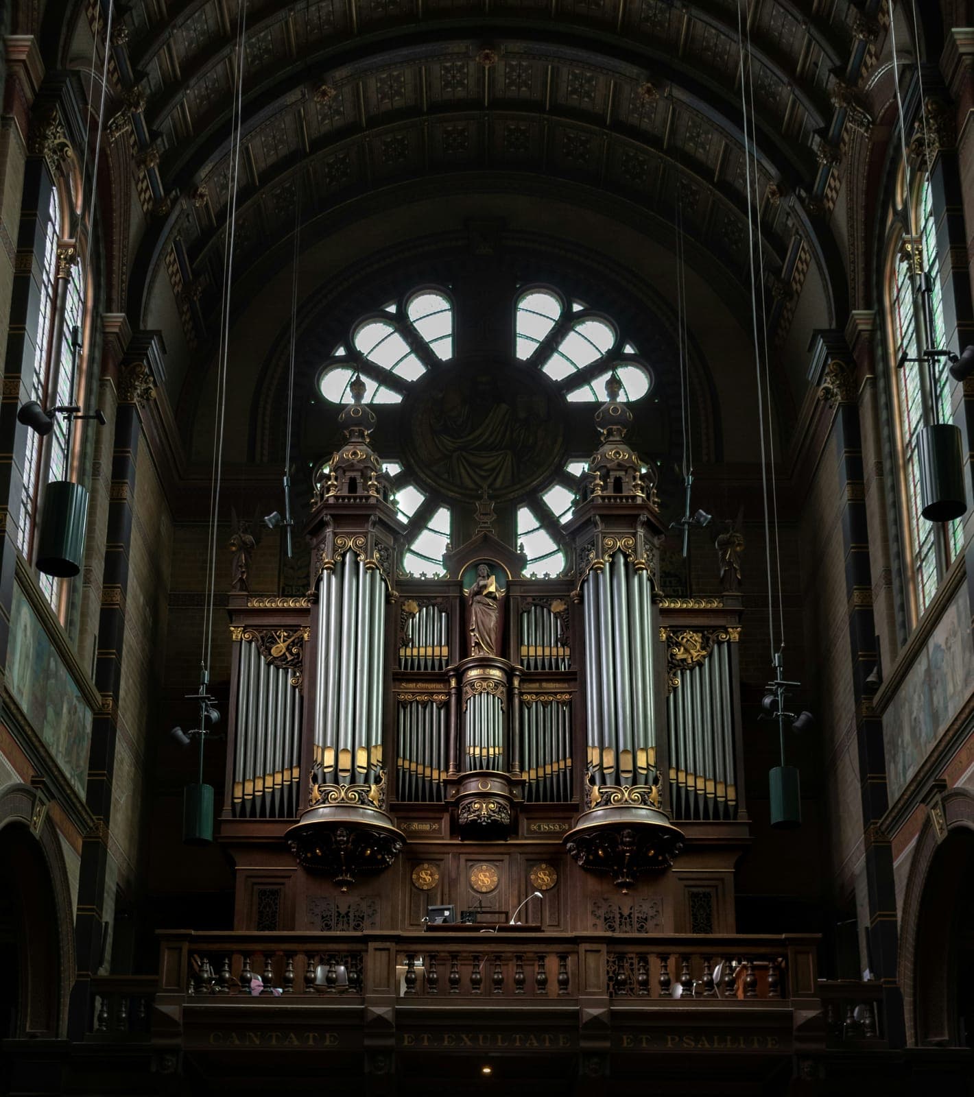 Organ